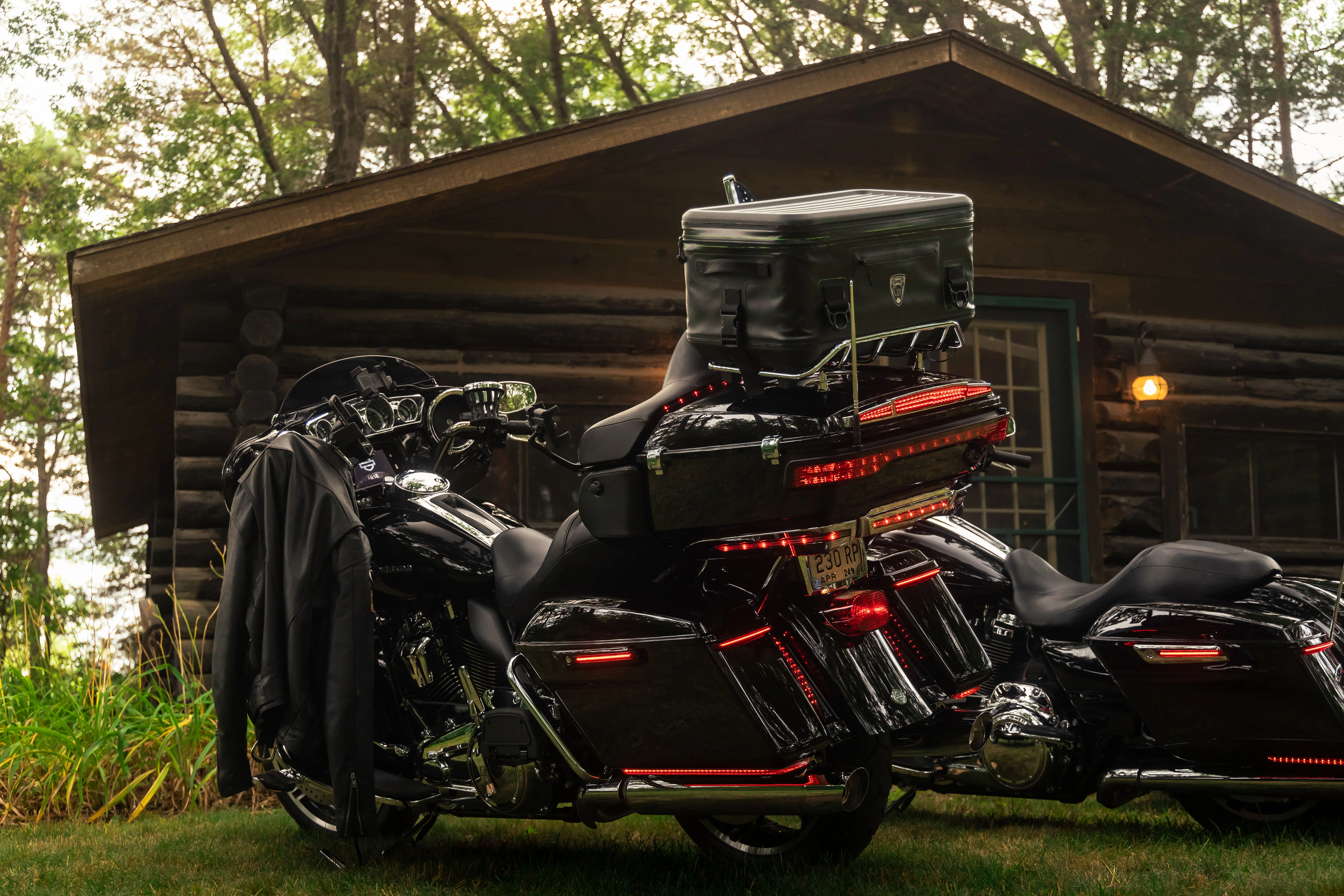 DRYFORCE® Quick Release Waterproof Cooler for H-D Luggage Rack - Image 19